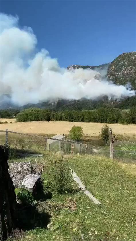 PIENSAPRENSA 318 Mil Seguidores On Twitter Incendio Forestal A Esta