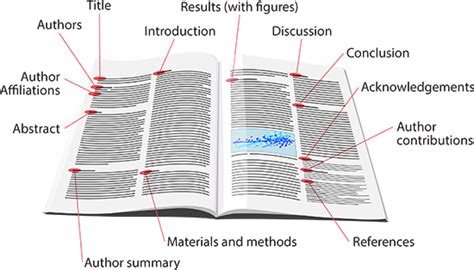 Anatomy Of An Article Ask A Biologist