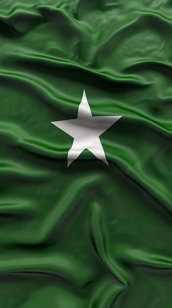 Premium Photo Realistic Texture Flag Of Pakistan