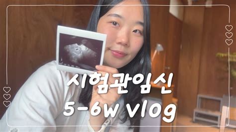 시험관임신vlog 임신 브이로그 임신극초기 5 6주 일상 난임병원 첫 초음파 작은 아기집 첫 심장소리 확인 💗