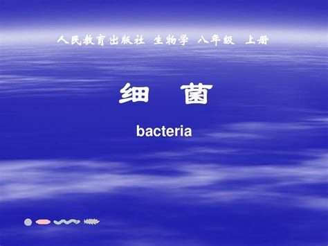 八年级生物上册第四章第二节细菌课件人教新课标版word文档在线阅读与下载无忧文档