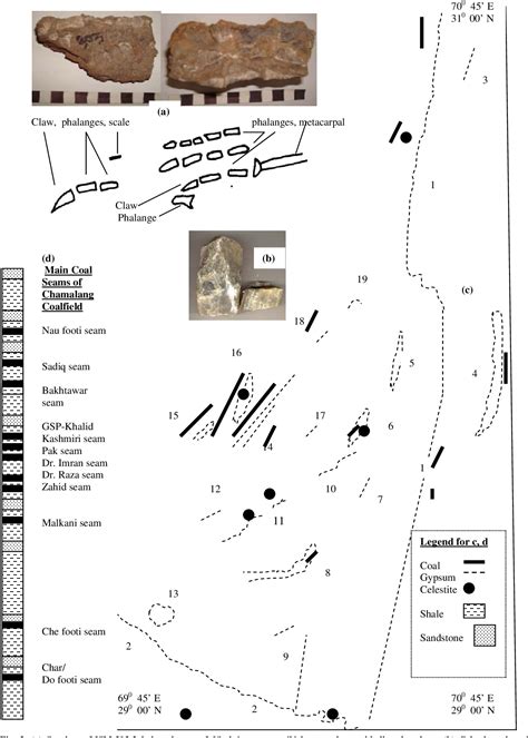 Figure 1 From Updated Stratigraphy And Mineral Potential Of Sulaiman