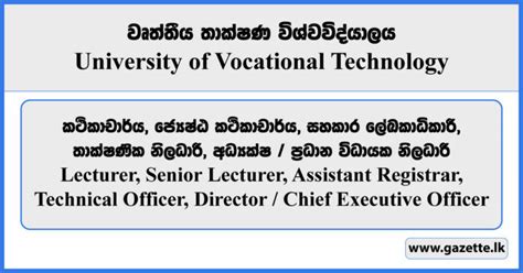 Lecturer Registrar Technical Officer Director Chief Executive