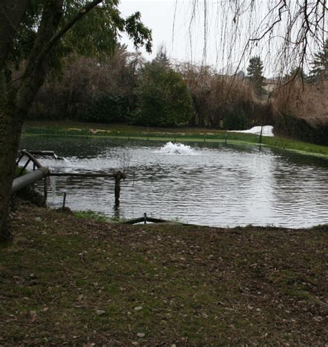 portes ouvertes À la découverte de la pisciculture du Brouaz hier Les