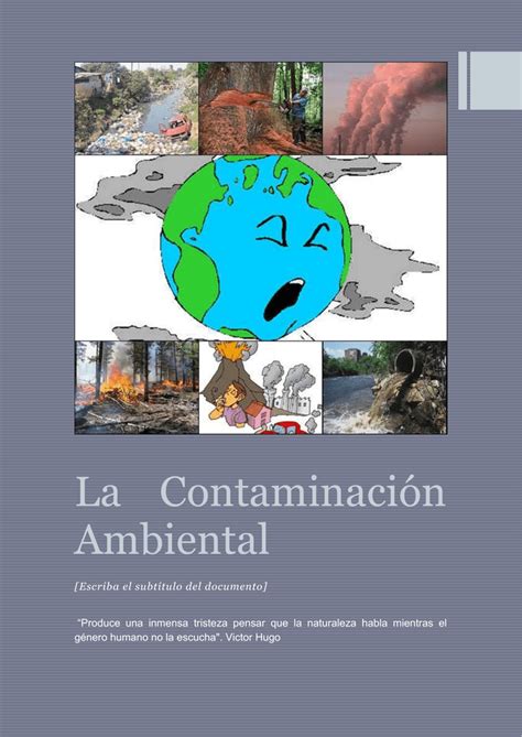 Consecuencias de la contaminación ambiental