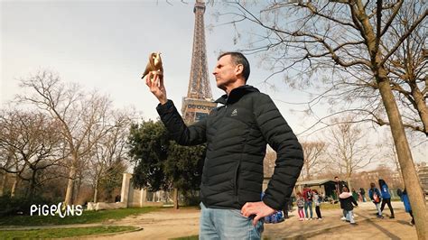 La pub mensongère du régime Comme Jaime et un Pigeon dOr pour