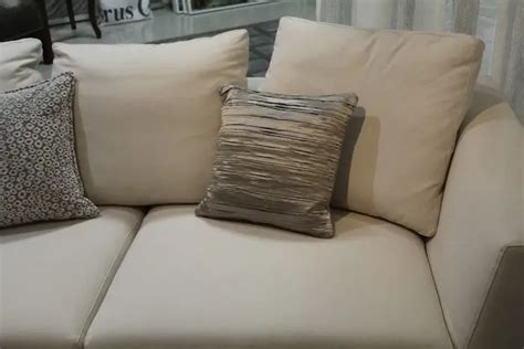 How to Clean Fabric Sofa Naturally? - Homelization