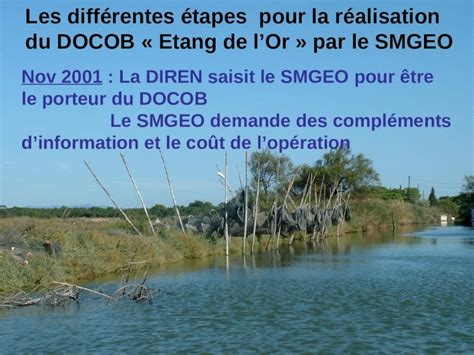 Ppt Les Diff Rentes Tapes Pour La R Alisation Du Docob Etang De