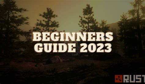 Rust Beginner Guide 2024