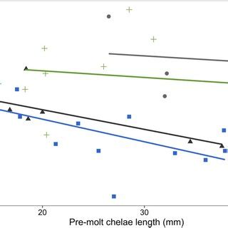 Chelae Length Growth Increments Mm For The Four Morphological