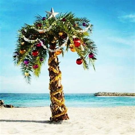 Pin By Jackie Elliott On Christmas Christmas Palm Tree Hawaiian