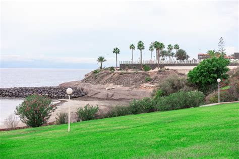 Fanabe Beach at Costa Adeje in Tenerife Stock Photo - Image of pasture ...