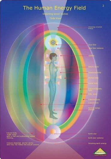 The Physical Emotional Mental And All 12 Bodies Of The Human Form