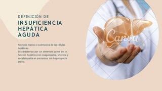 Insuficiencia Hep Tica Pptx Descarga Gratuita