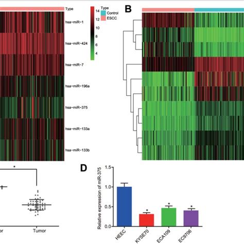 Escc Correlated To Low Expression Of Mir A Heatmap Of The Top Ten