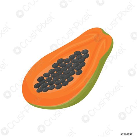 Papaya dibujos animados vector ilustración comida orgánica postre