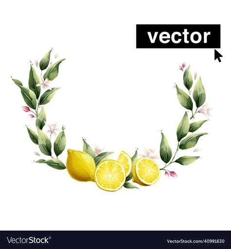 Lemon Wreath Watercolor Style Set Of Green Vector Image