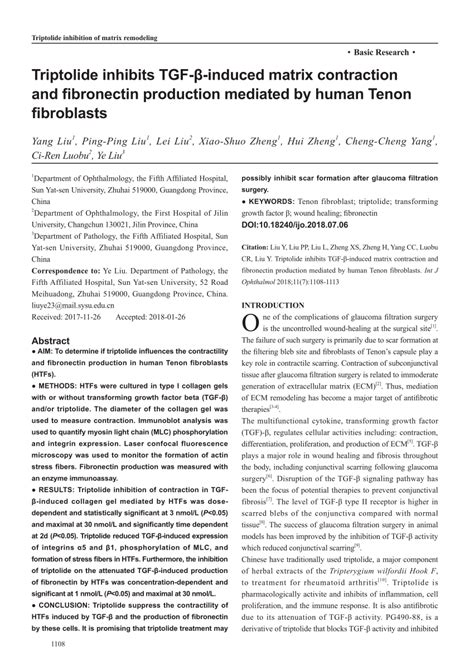 Pdf Triptolide Inhibits Tgf Induced Matrix Contraction And