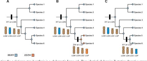 Figure From Restriction Site Associated Dna Sequencing Rad Seq