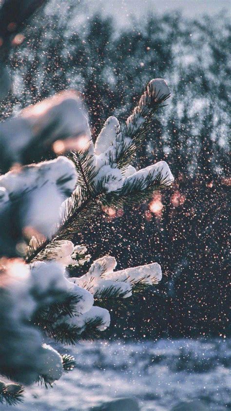 Cozy Winter HD Wallpapers Top Free Cozy Winter HD Backgrounds