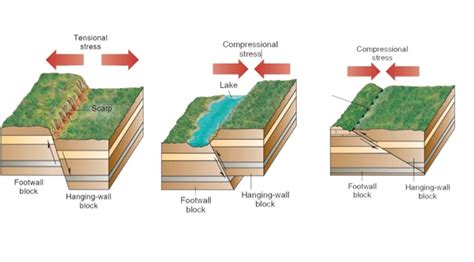 Solved Fault trace Epicenter Fault Seismic waves Hypocenter | Chegg.com