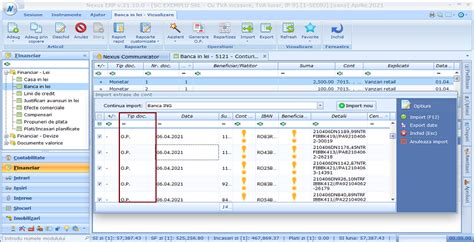 Nexus Erp Import Extrase De Cont Posibilitate Modificare Tip Document