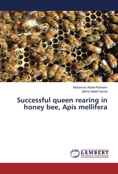 Successful Queen Rearing In Honey Bee Apis Mellifera Abdel Raheem