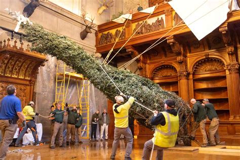 Christmas At Biltmore Begins With Annual Tree-Raising Ceremony