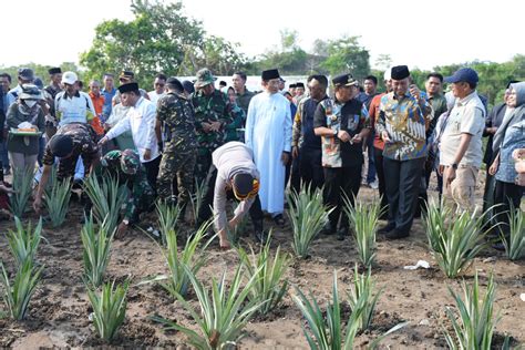 Pesantren Asdiayah Siapkan Lahan Hektare Untuk Pertanian Dan