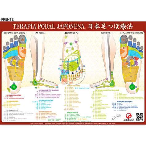 Mapa Reflexologia Podal Chinesa Ubicaciondepersonas Cdmx Gob Mx