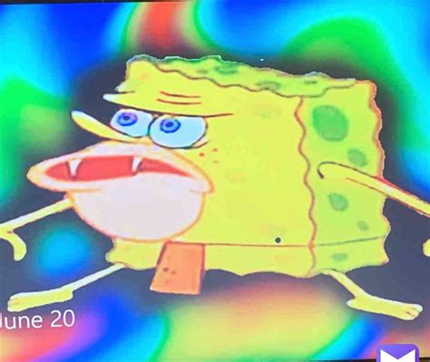 X Memes Spongebob Meme Wallpapers Top Free Spongebob Meme My XXX Hot Girl