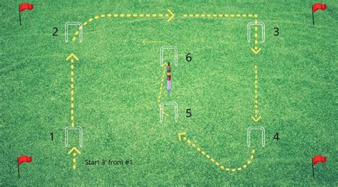 How To Set Up Croquet 6 And 9 Wicket Croquet Layouts Fun In The Yard