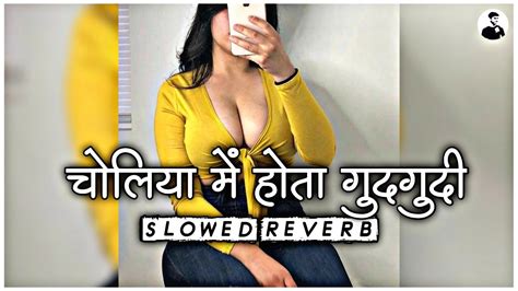 Choliya Me Hota Gudgudi E Raja Pawan Singh Lofi Song Slowed Reverb