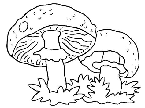 coloriage à dessiner champignon hugo l escargot