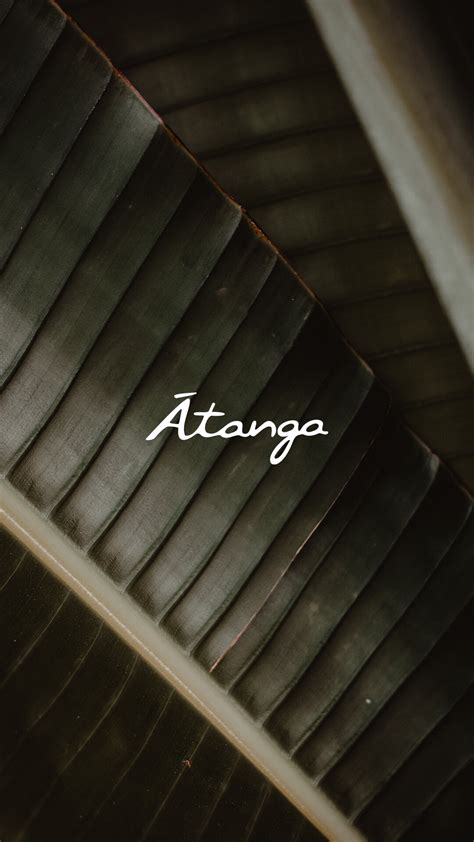 Atanga Esoes Design Branding Strat Gie Premium