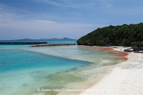 Beaches of the Ryukyu Islands | Okinawa Nature Photography