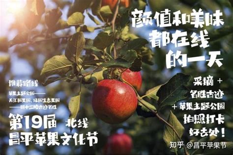 第十九届昌平苹果文化节活动介绍 知乎