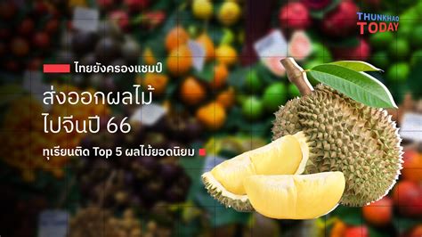 ไทยยังครองแชมป์ส่งออกผลไม้ไปจีนปี 66 ทุเรียนติด Top 5 ผลไม้ยอดนิยม