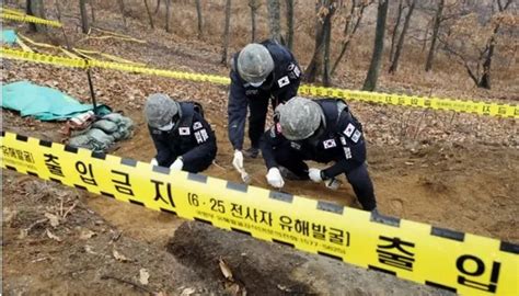 “국방부 유해발굴단 6·25전사자 유해 조작의혹” 폭로···‘아군 유품 뿌리기도 인사이트