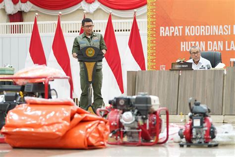 Infopublik Bnpb Siap Bantu Pemerintah Daerah Kendalikan Karhutla