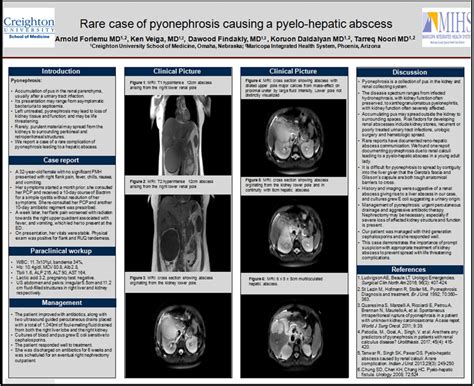 (PDF) RARE CASE OF PYONEPHROSIS CAUSING A PYELO-HEPATIC ABSCESS