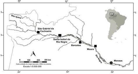 Munic Pios Estabelecidos Nas Margens Do Rio Negro Durante O S Culo Xx