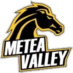 The Metea Valley Mustangs - ScoreStream