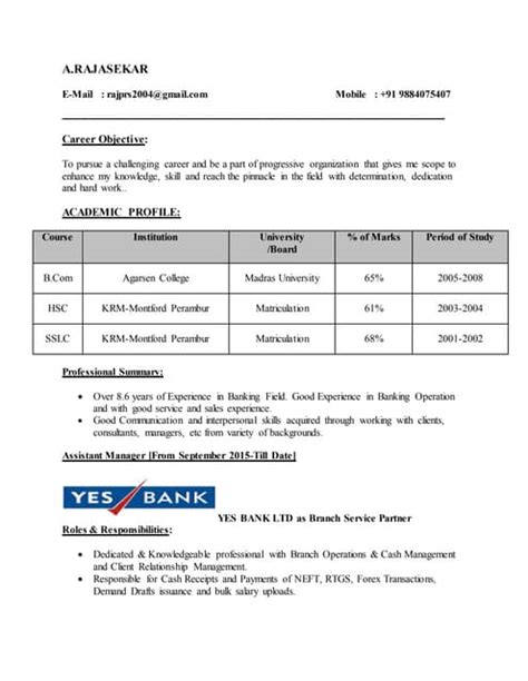 Raj Cv Pdf