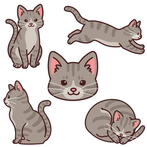 Gray Tabby Cat Drawing Stock Photos Pictures And Royalty Free Images