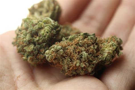 5 New (Made Up) Marijuana Strains & Their (Made Up) Effects