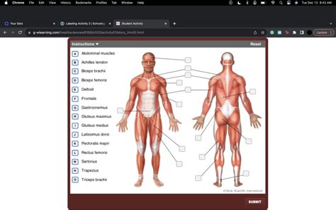 Unit 3 Diagram 2 Diagram Quizlet