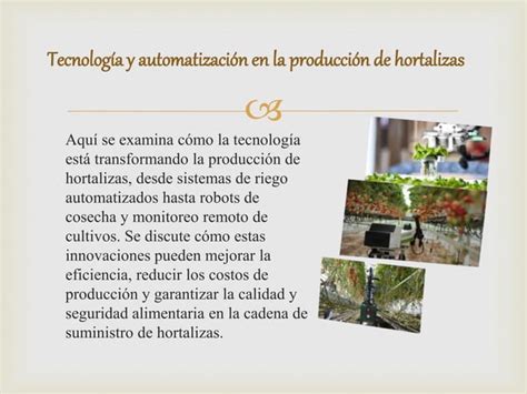 PRODUCCION DE HORTALIZAS Y SUS TEMAS CLAVES PPT