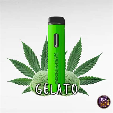 Compra Pod Desechable HHC Iguana Pod Space Vape Gelato 1800mg En Pevgrow