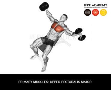 Incline Dumbbell Fly IFPE Academy